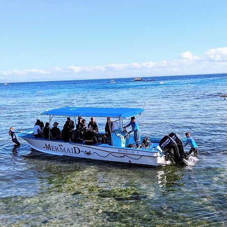 Mermaid Resort And Dive Center بويرتو غاليرا المظهر الخارجي الصورة