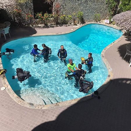 Mermaid Resort And Dive Center بويرتو غاليرا المظهر الخارجي الصورة